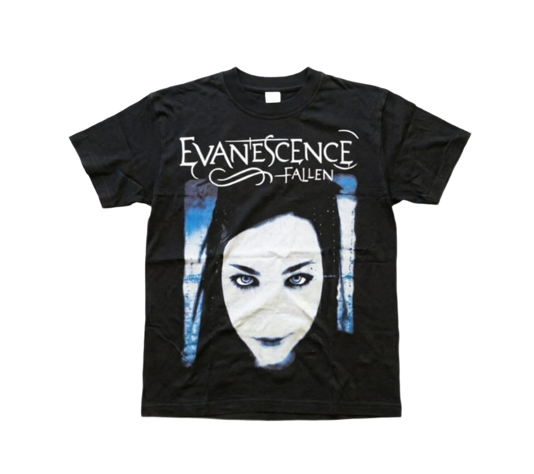 EVANESCENCE - FALLEN